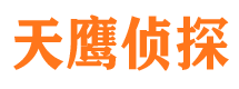 杜尔伯特寻人公司